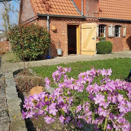 Ferienhaus Voern-Diek Hohnstorf Exterior foto